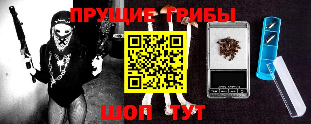 Кстово  Галлюциногенные грибы Psilocybine cubensis  Вход с VPN 